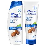 Save $0.50 on Head & Shoulders Hair Care